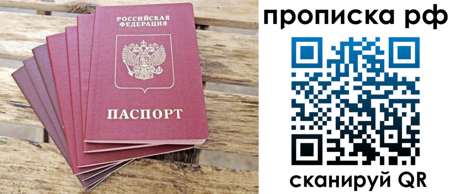 прописка гарантия в Ясном